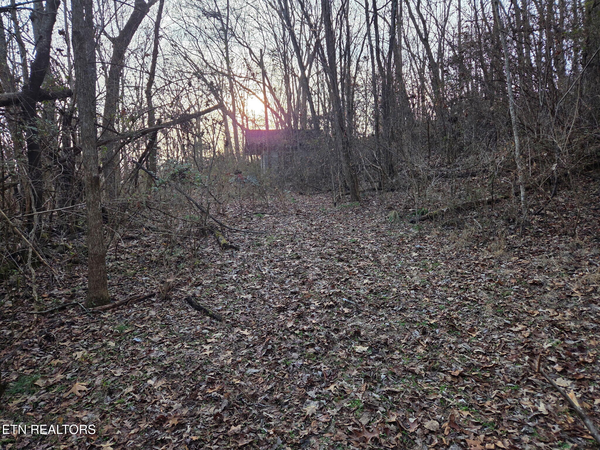 513 Jimtown Road Newport, TN 37821 - Photo 6 of 14 5852164006904387536