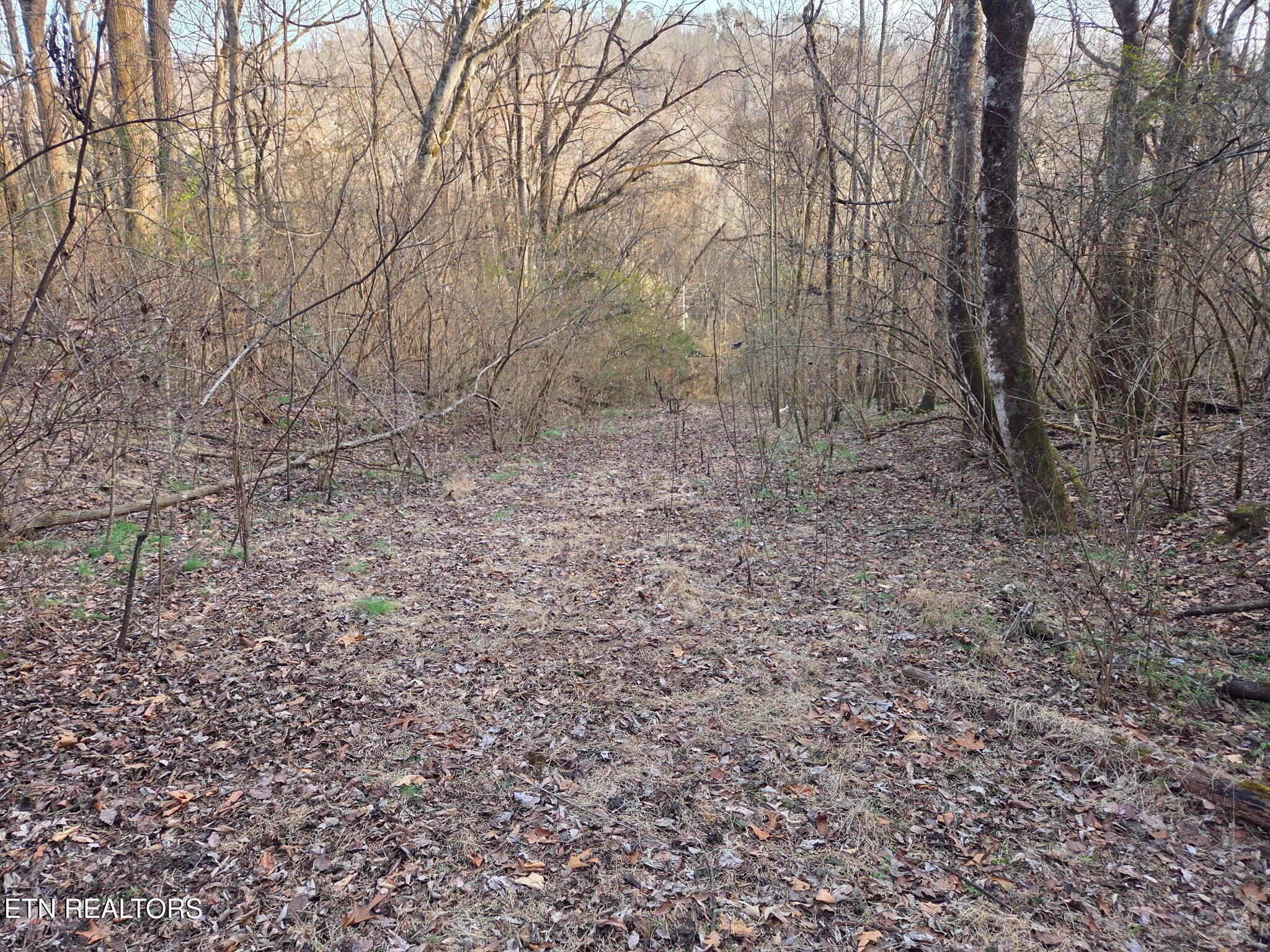 513 Jimtown Road Newport, TN 37821 - Photo 7 of 14 354935843500311331