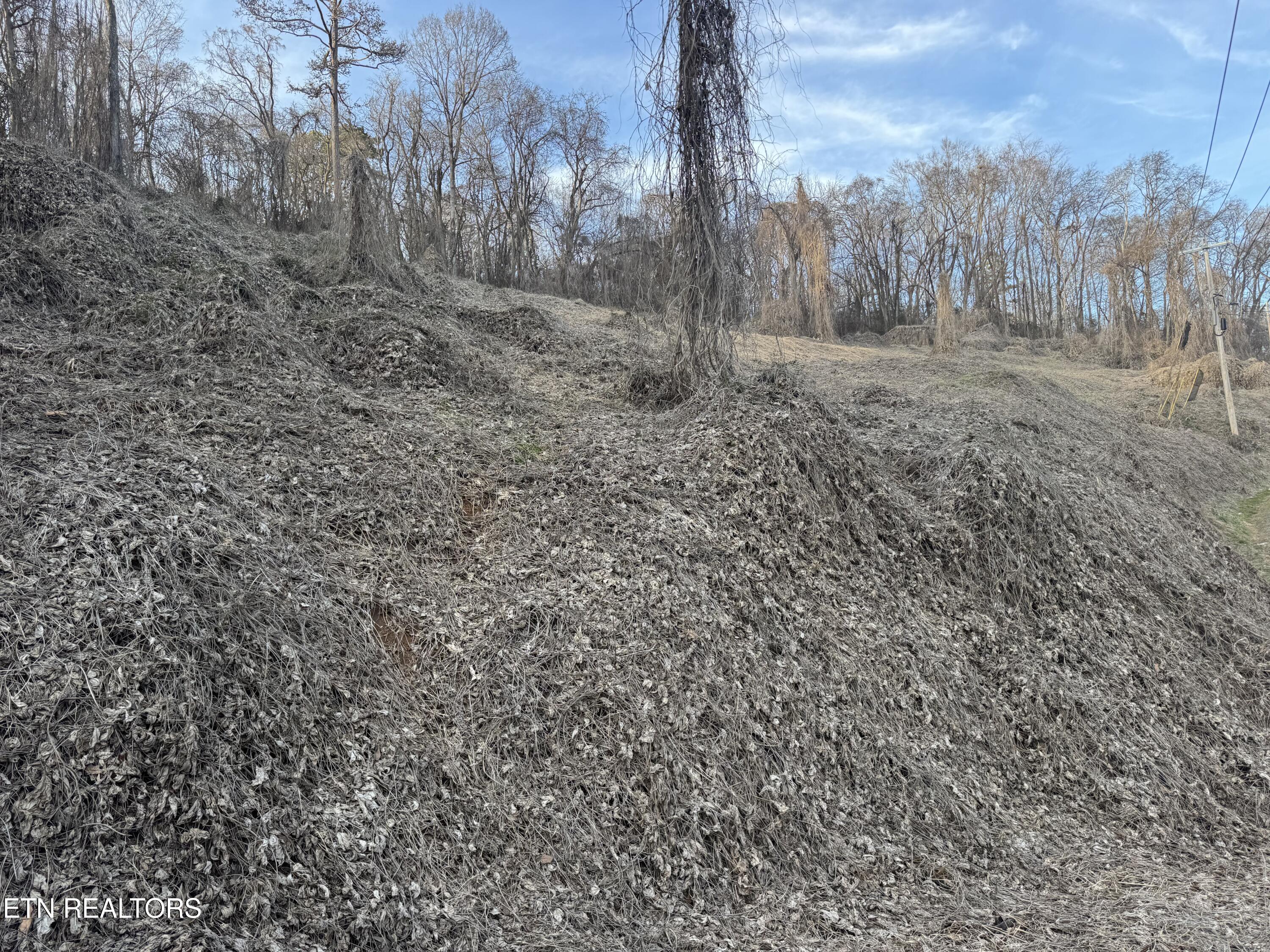 513 Jimtown Road Newport, TN 37821 - Photo 8 of 14 IMG_0507