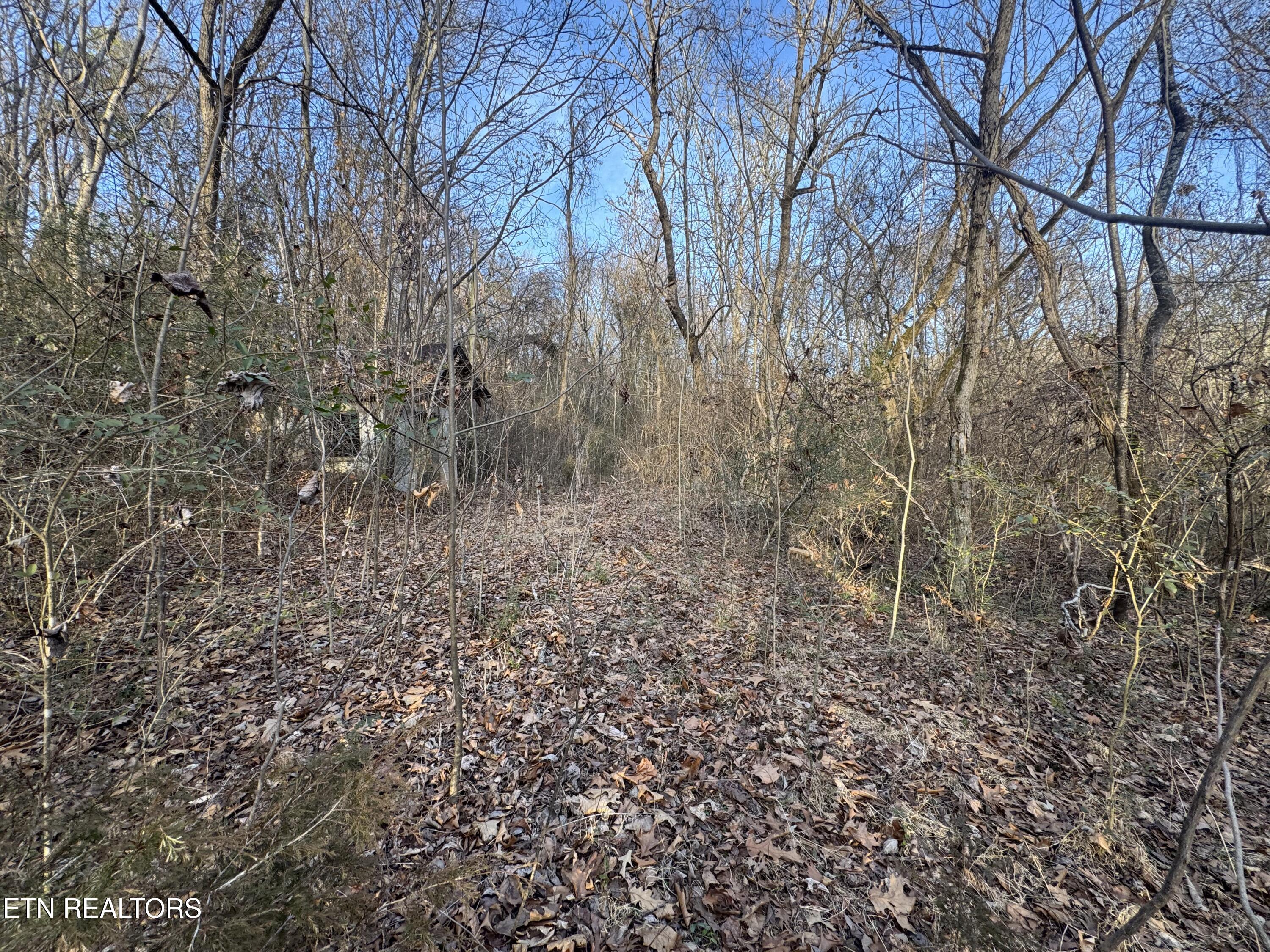 513 Jimtown Road Newport, TN 37821 - Photo 9 of 14 IMG_0490