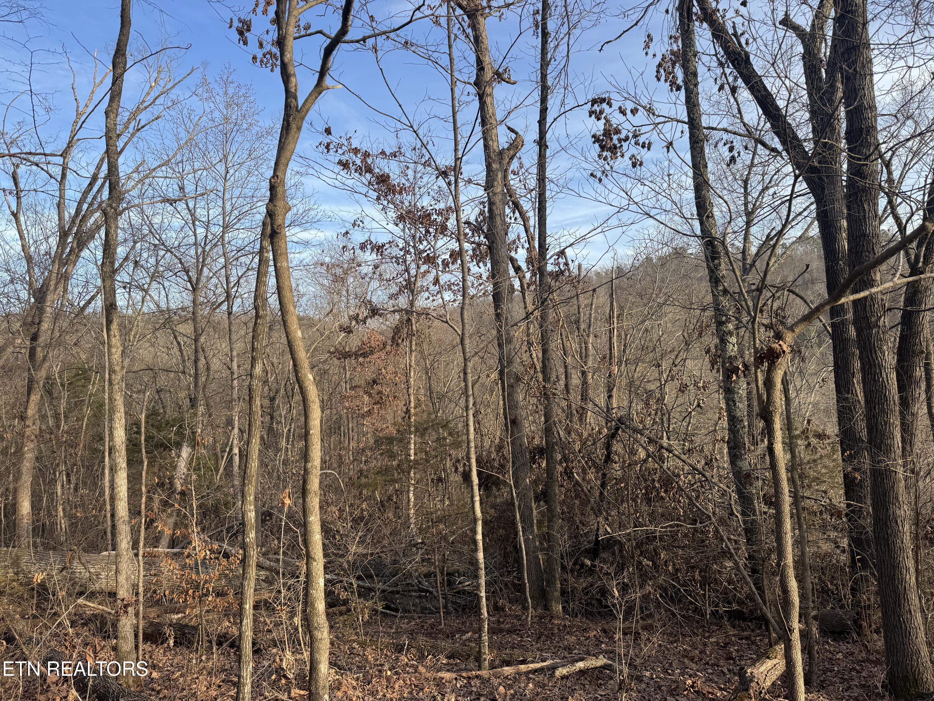 513 Jimtown Road Newport, TN 37821 - Photo 10 of 14 IMG_0486