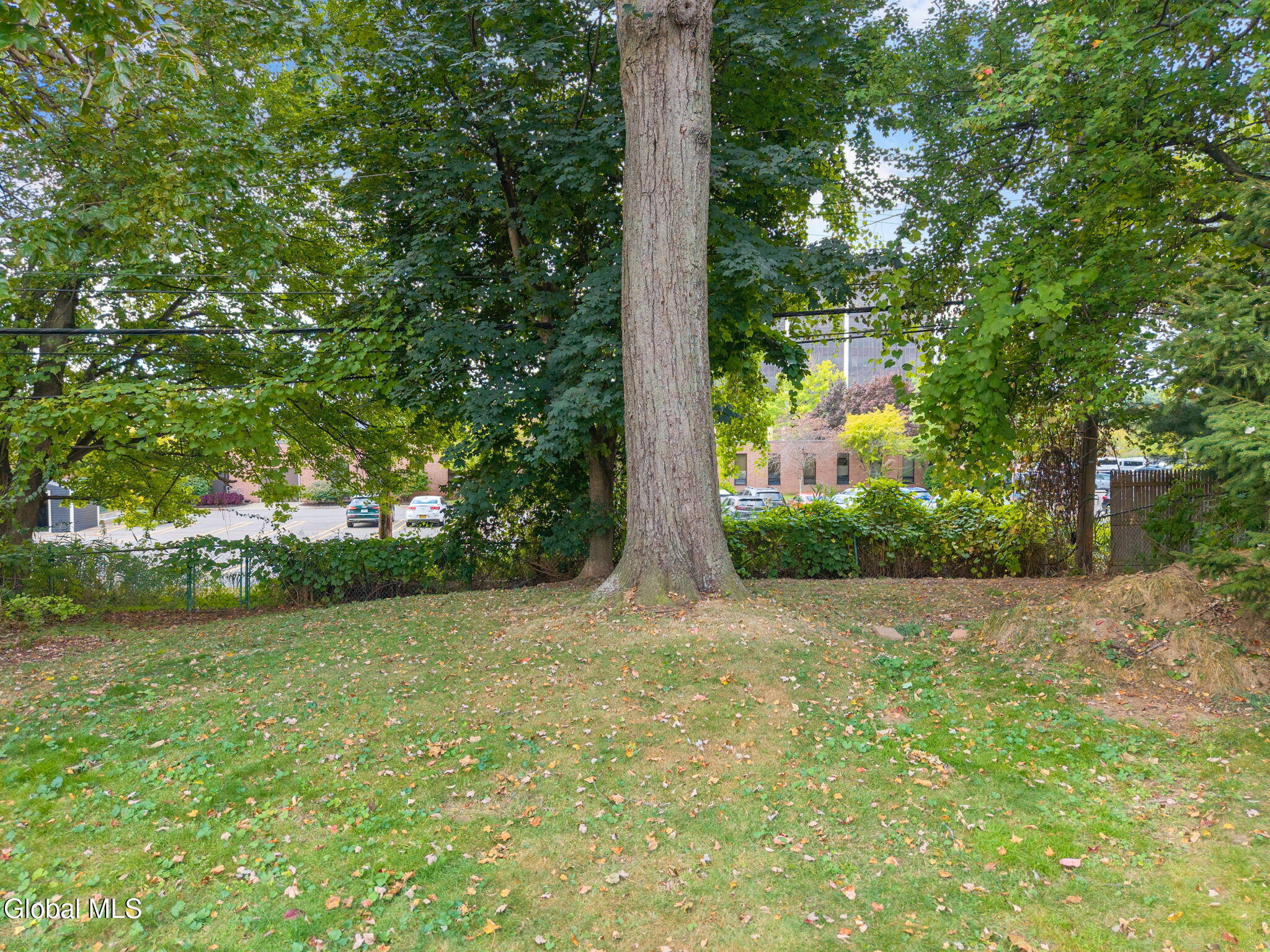 36 Providence Street Albany, NY 12203 - Photo 25 of 28 25-35ProvidenceSt_25