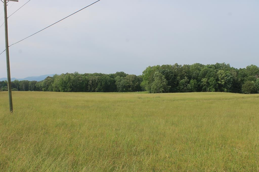 0 McCorkle Road Baneberry, TN 37890 - Photo 18 of 18