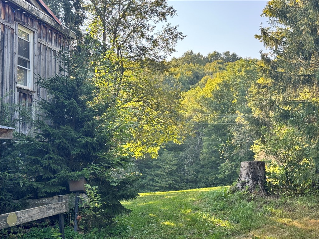 677 Frisbee Road Kortright, NY 13757 - Photo 3 of 50