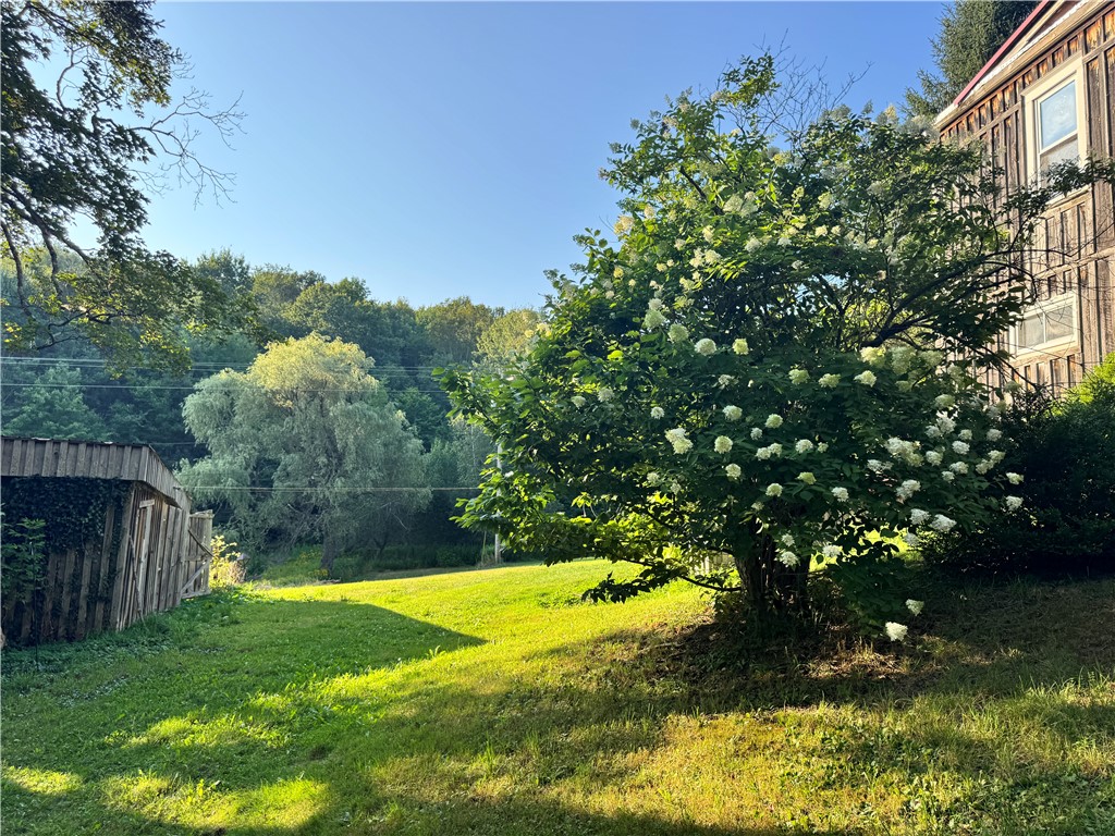 677 Frisbee Road Kortright, NY 13757 - Photo 43 of 50