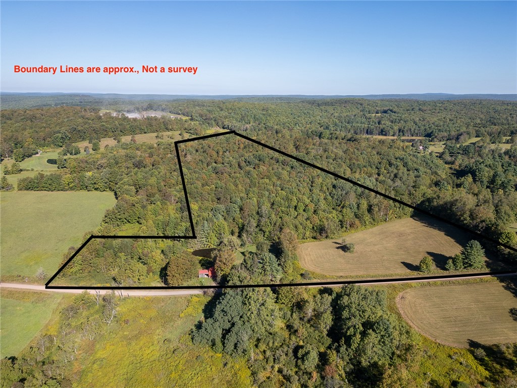 677 Frisbee Road Kortright, NY 13757 - Photo 46 of 50