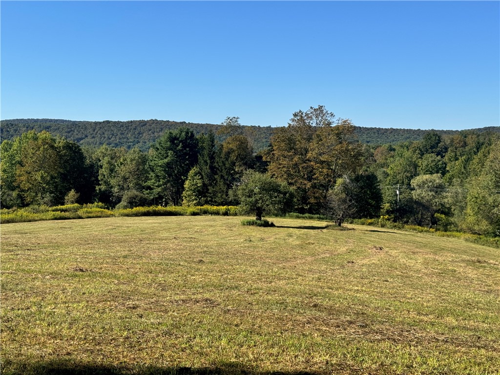 677 Frisbee Road Kortright, NY 13757 - Photo 47 of 50