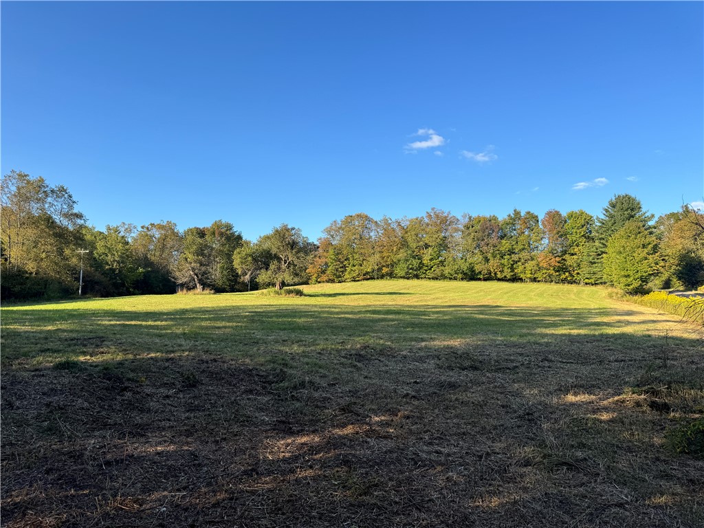 677 Frisbee Road Kortright, NY 13757 - Photo 48 of 50