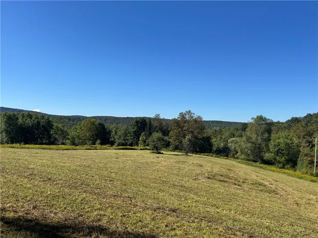 $349,000 | 677 Frisbee Road, Kortright, NY 13757