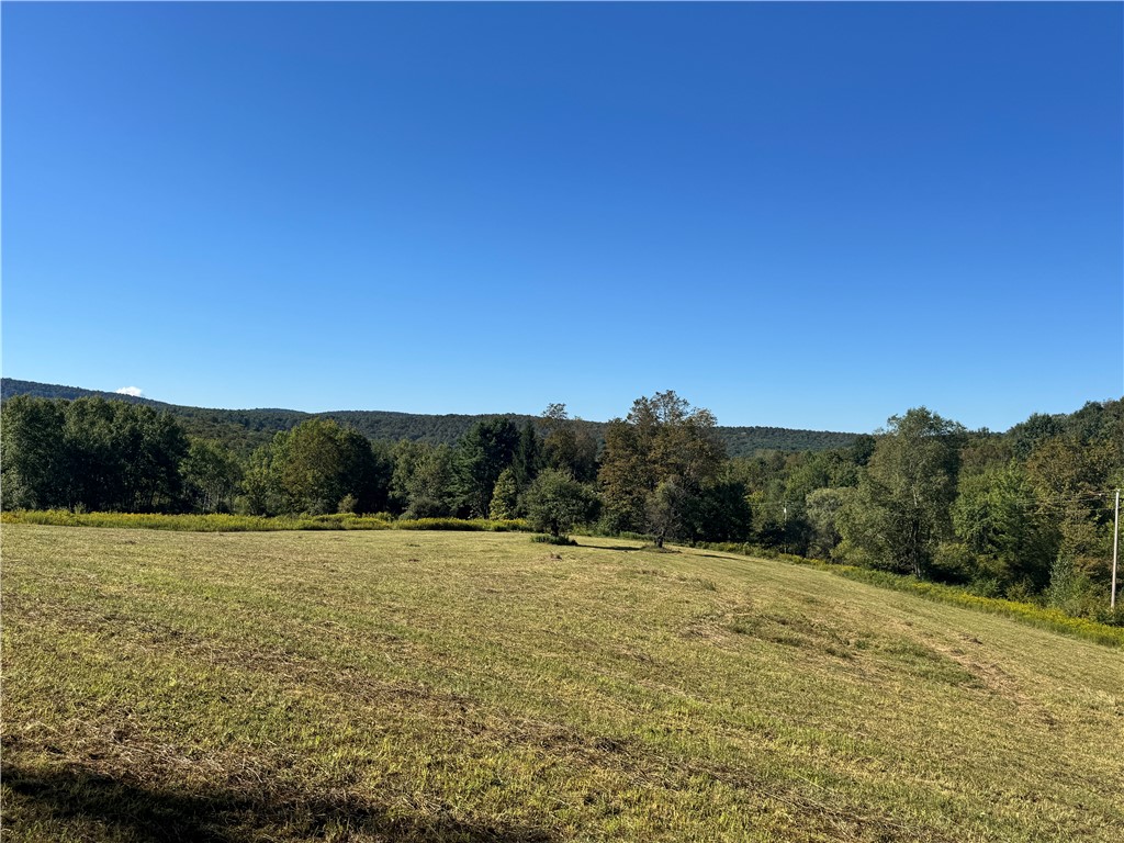 677 Frisbee Road Kortright, NY 13757 - Photo 49 of 50