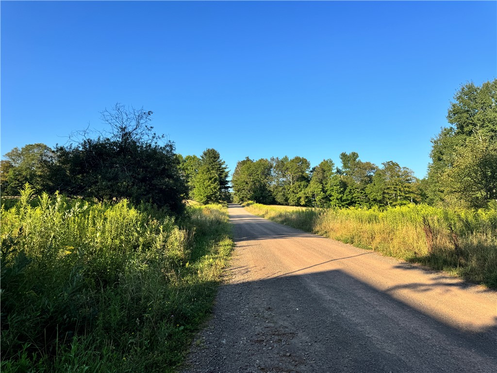 677 Frisbee Road Kortright, NY 13757 - Photo 50 of 50