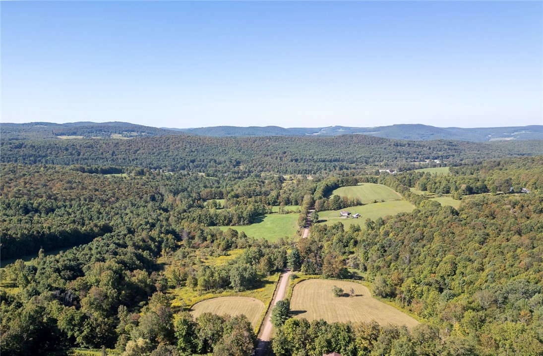 677 Frisbee Road Kortright, NY 13757 - Photo 5 of 50