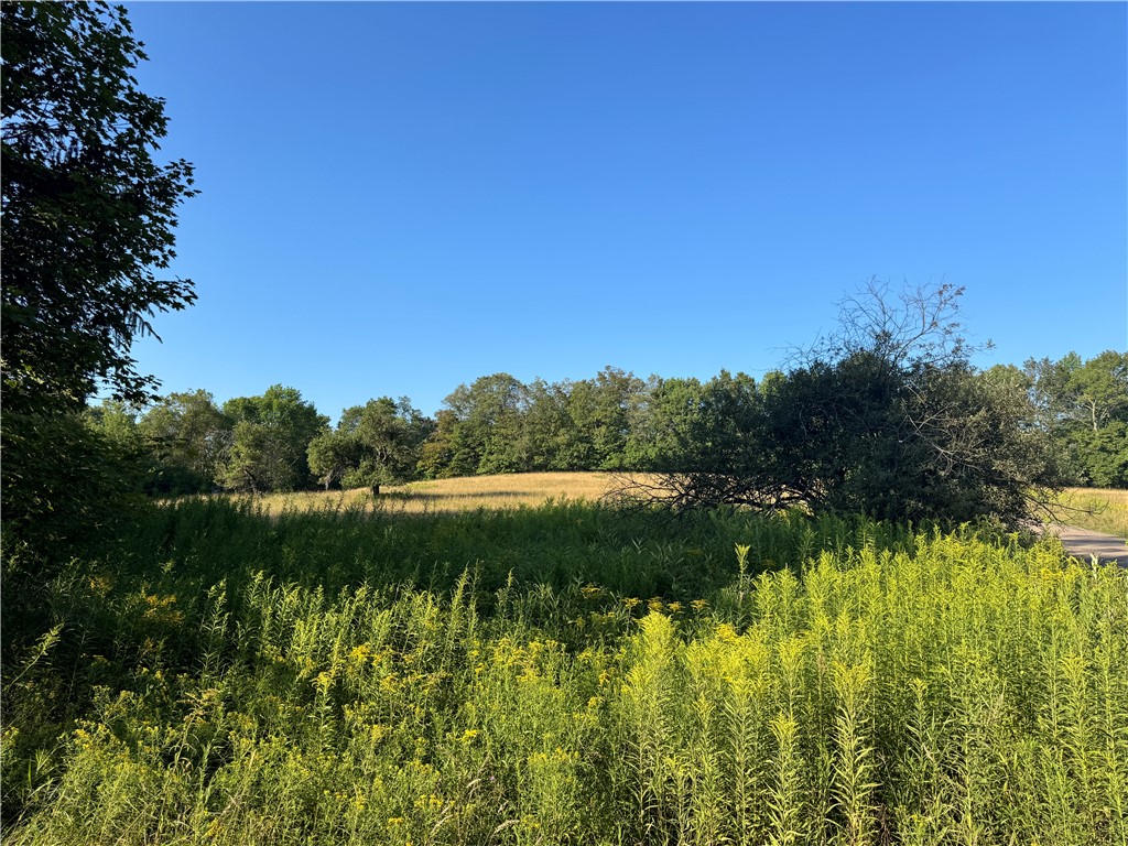 677 Frisbee Road Kortright, NY 13757 - Photo 6 of 50