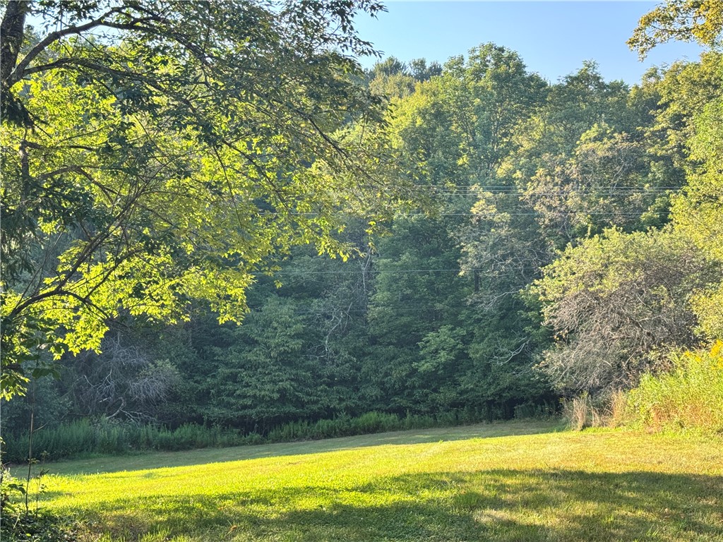 677 Frisbee Road Kortright, NY 13757 - Photo 7 of 50