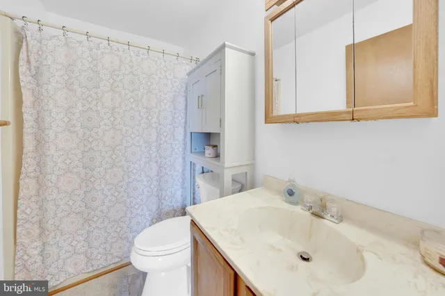 a bathroom with a sink a toilet and shower curtain