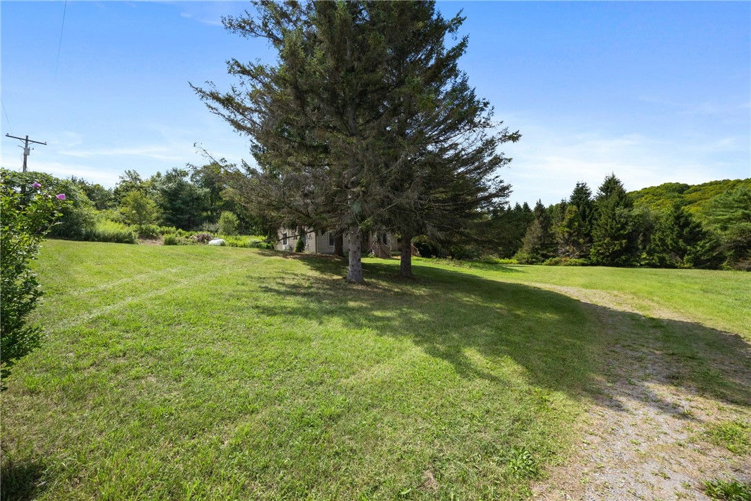 8315 Wessels Hill Road Avoca, NY 14809 - Photo 9 of 37