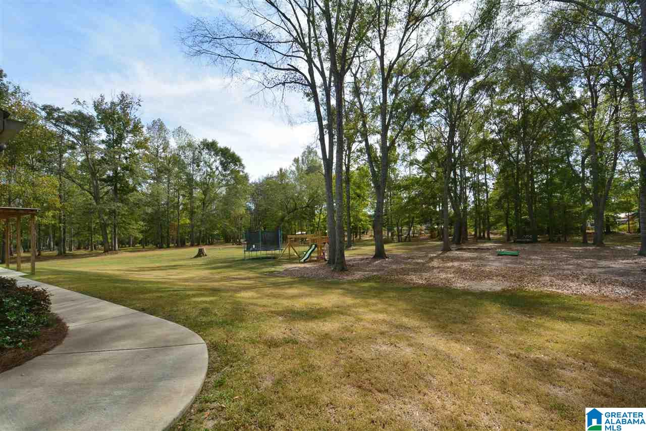 40 County Road 797 Clanton, AL 35045 - Photo 33 of 34