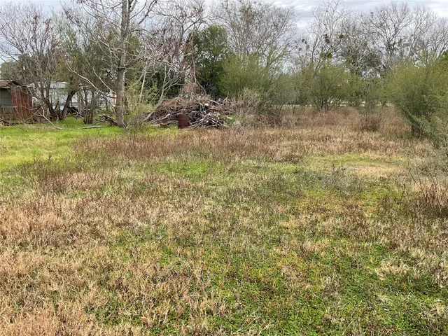 a view of a yard with a tree