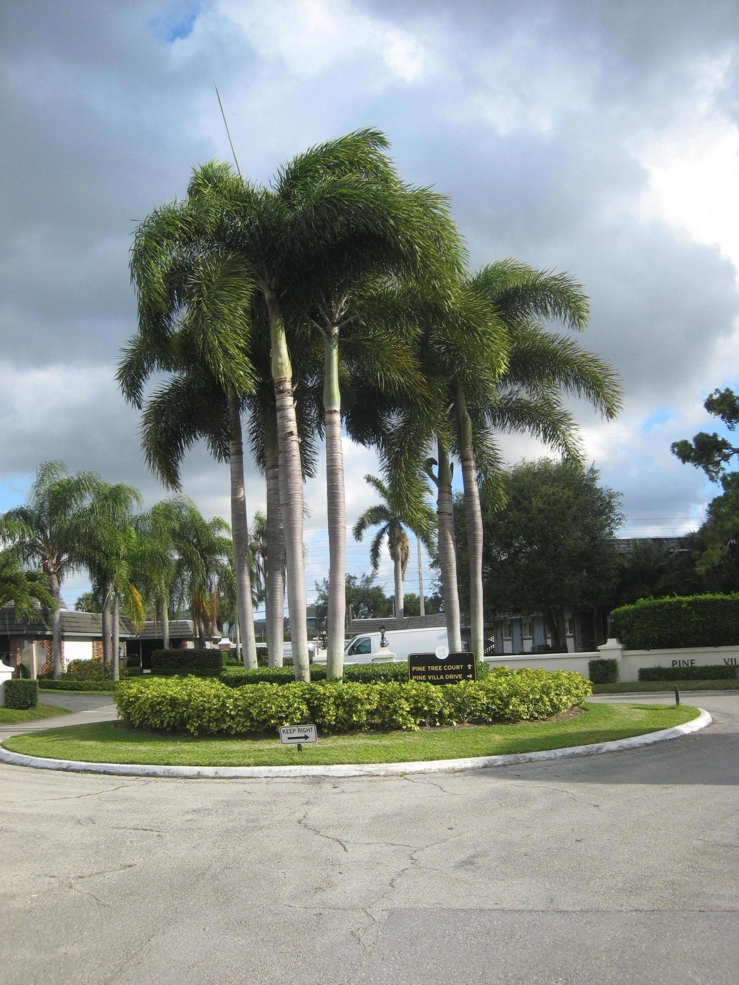 423 Pine Tree Court, Unit 23 Atlantis, FL 33462 - Photo 23 of 32 IMG_8753