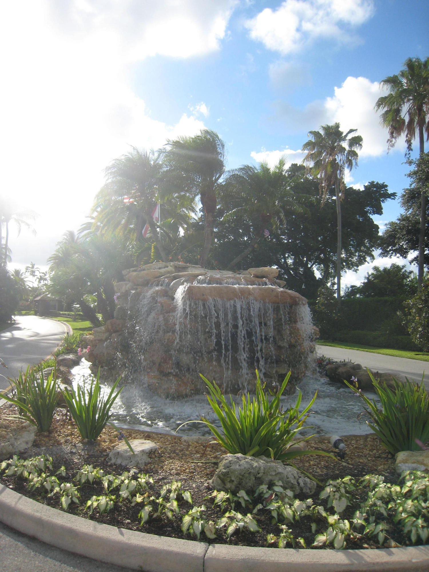 423 Pine Tree Court, Unit 23 Atlantis, FL 33462 - Photo 27 of 32 IMG_8757