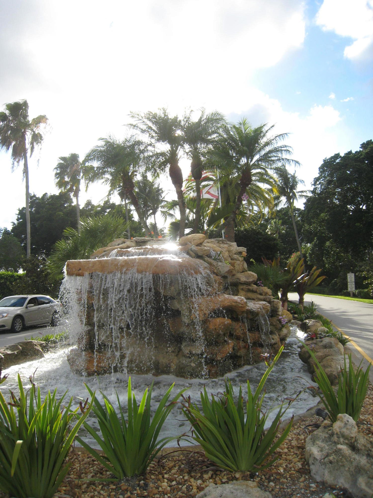 423 Pine Tree Court, Unit 23 Atlantis, FL 33462 - Photo 30 of 32 IMG_8760