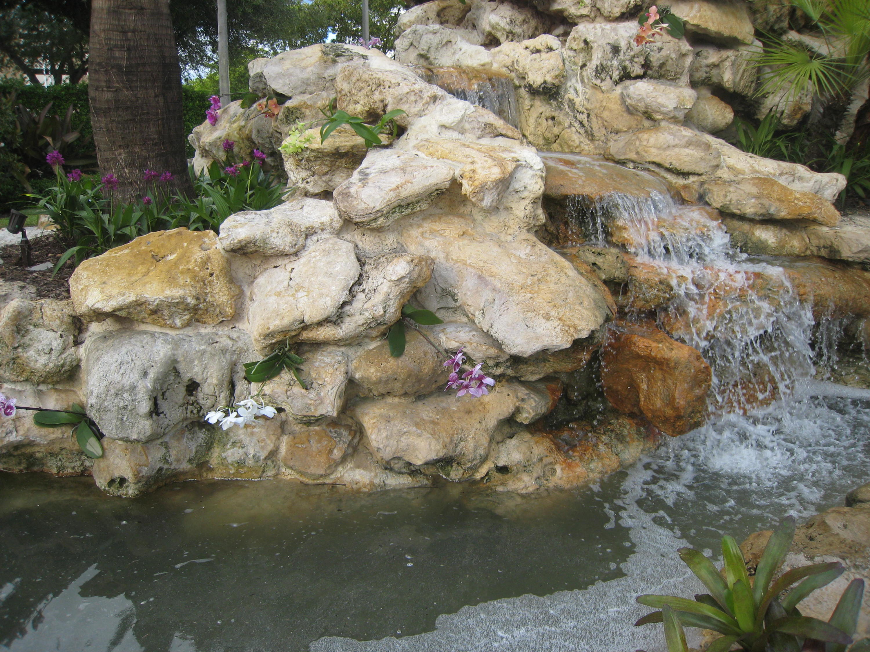 423 Pine Tree Court, Unit 23 Atlantis, FL 33462 - Photo 31 of 32 IMG_8761