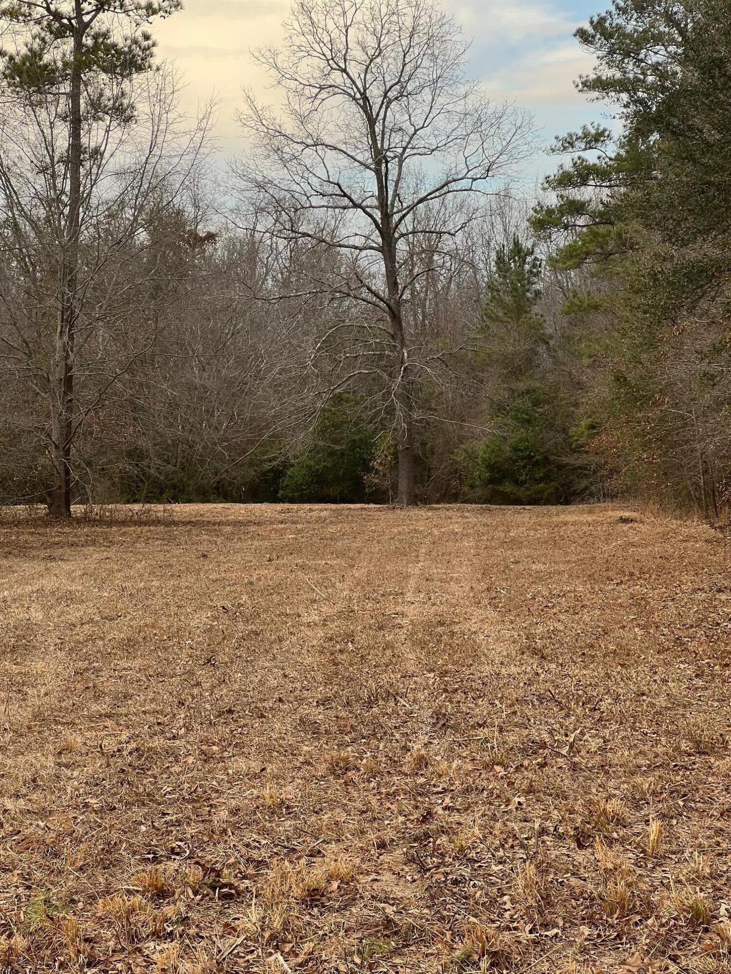 0 Lantern Lane Sumter, SC 29154 - Photo 3 of 4