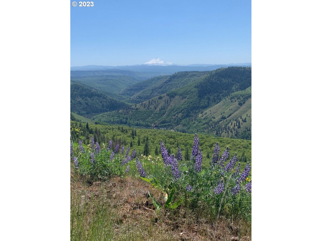 67 Deerfield Road Lyle, WA 98635 - Photo 8 of 20 Gallery Image 8