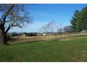157 Emerald Road Mosheim, TN 37818 - Photo 2 of 4 EMERALD ROAD PICTURE-6