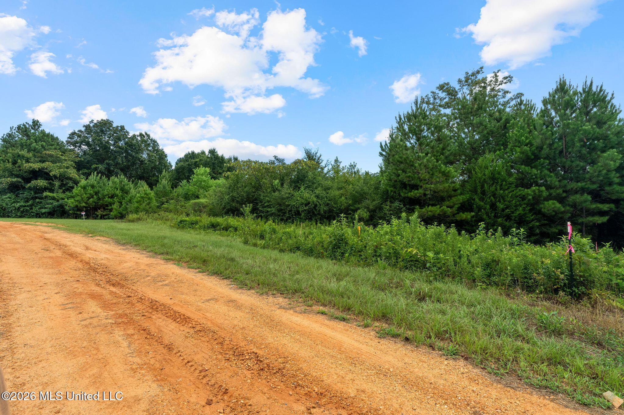 1 Ethel Road Collins, MS 39428 - Photo 14 of 15 52_Ethel_Rd_Lot_1-13