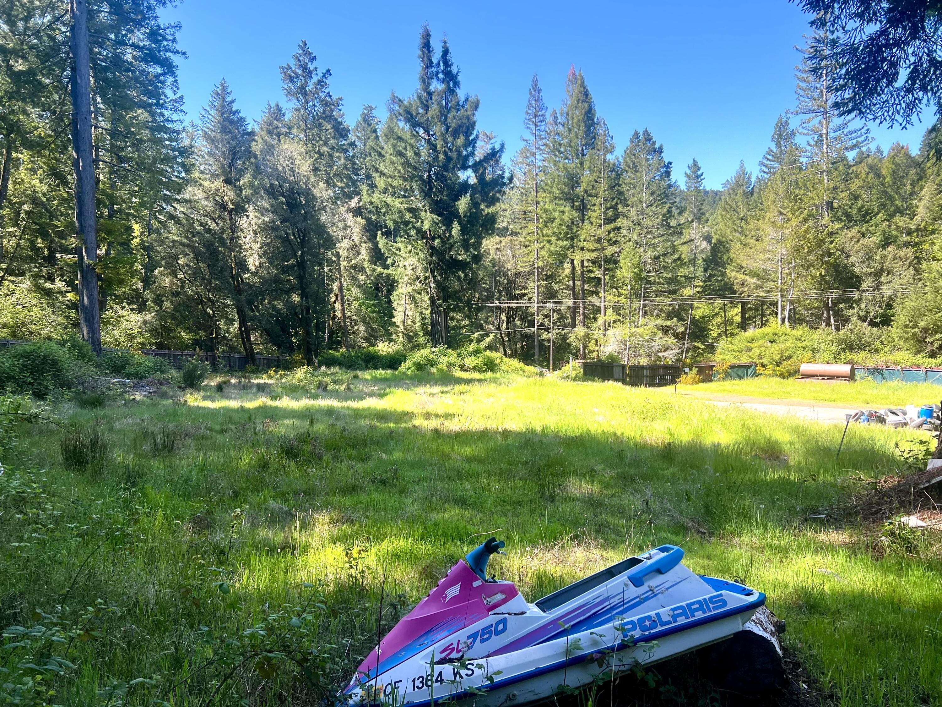 16741 Briceland Road Whitethorn, CA 95589 - Photo 4 of 10 Flat Parcel