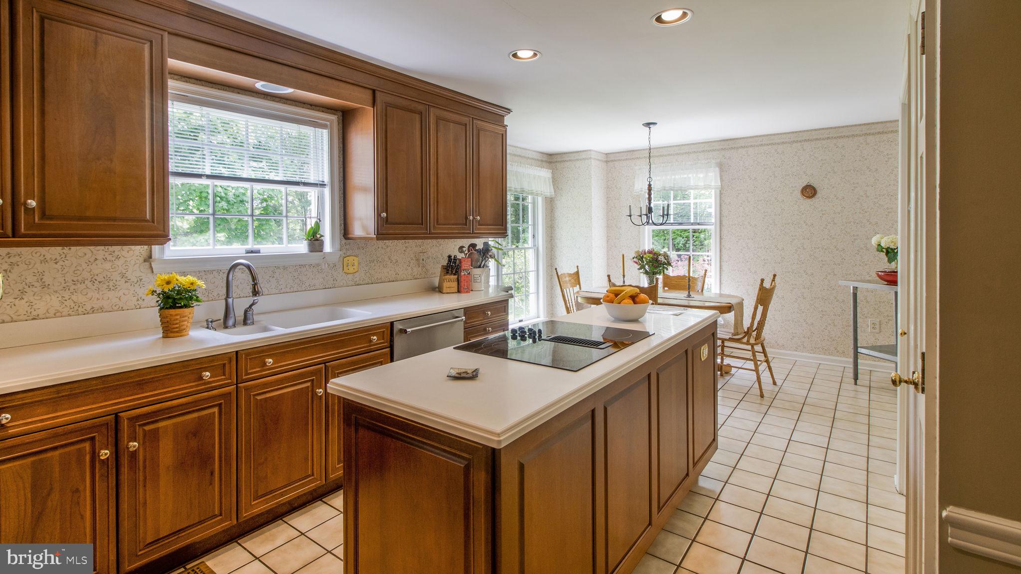 495 Tulip Road Annapolis, MD 21403 - Photo 12 of 76 Spacious Kitchen