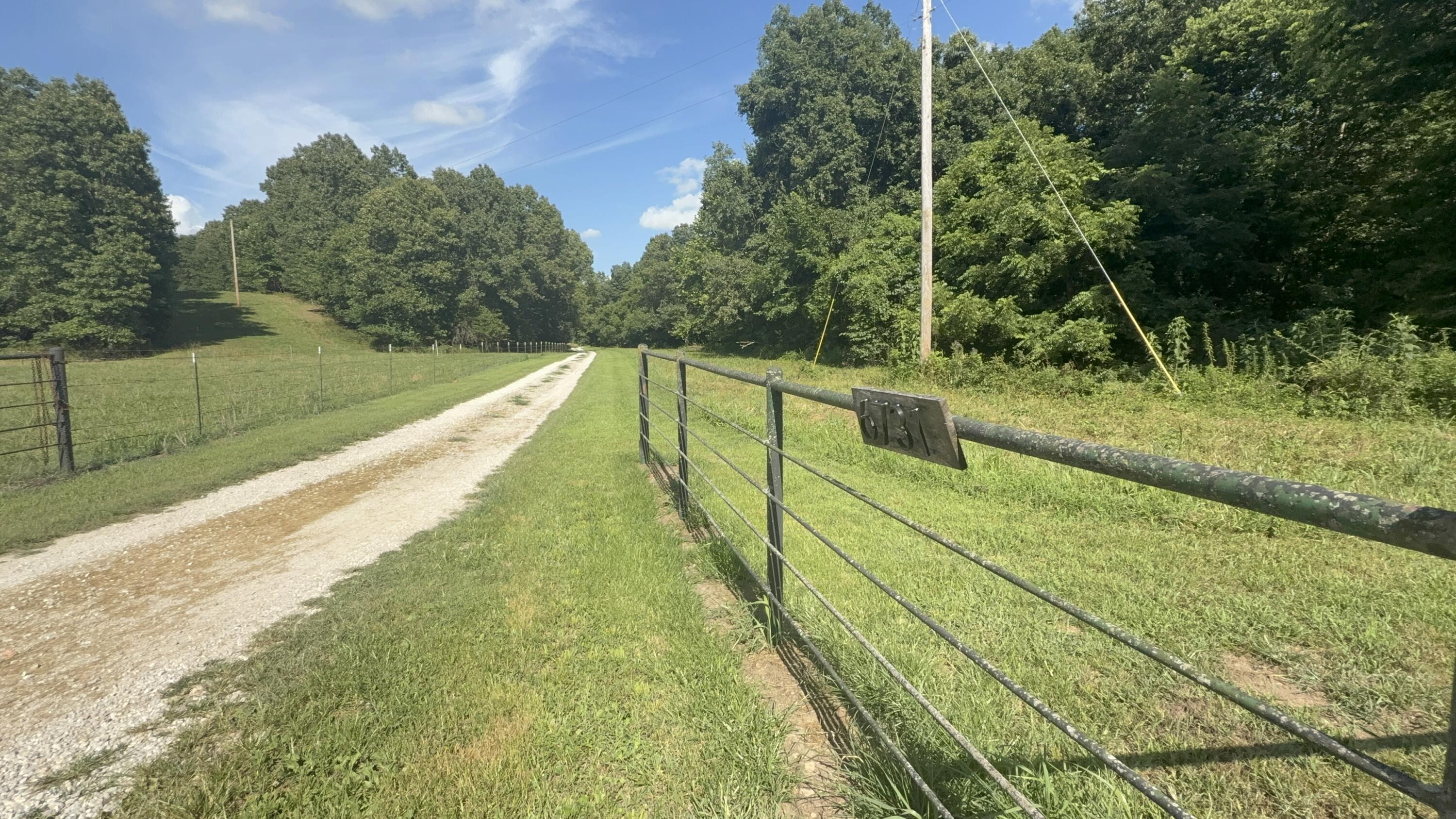 6731 Raccoon Road Pierce City, MO 65723 - Photo 58 of 99 IMG_9483