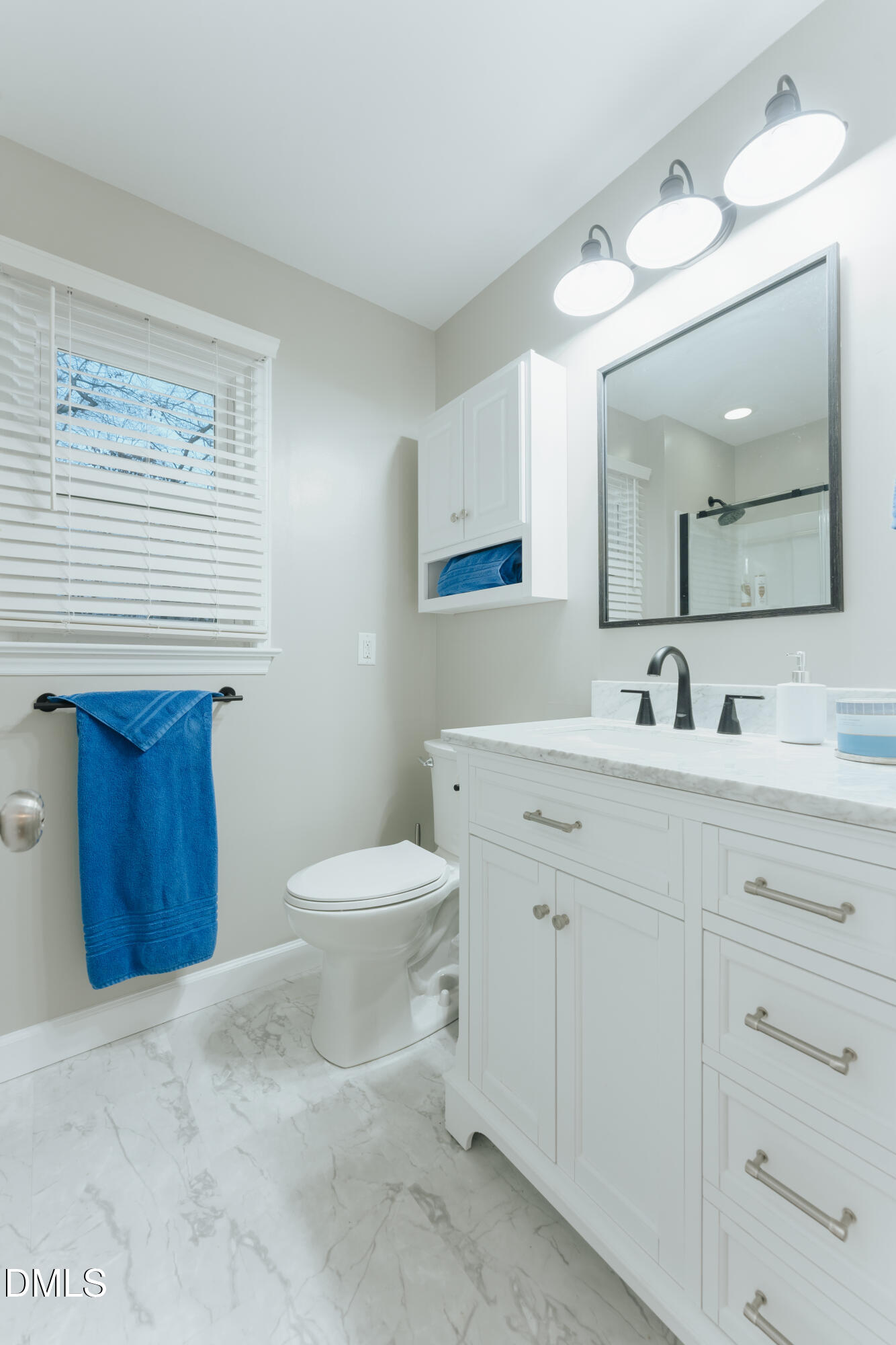 288 Bunny Rabbit Road Leasburg, NC 27291 - Photo 38 of 74 a bathroom with a toilet a sink a mirror and vanity