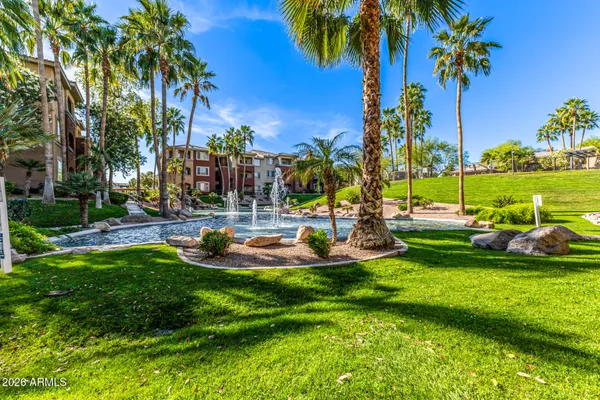 a view of a park with palm trees