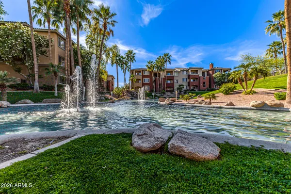 a view of a backyard with plants and palm trees