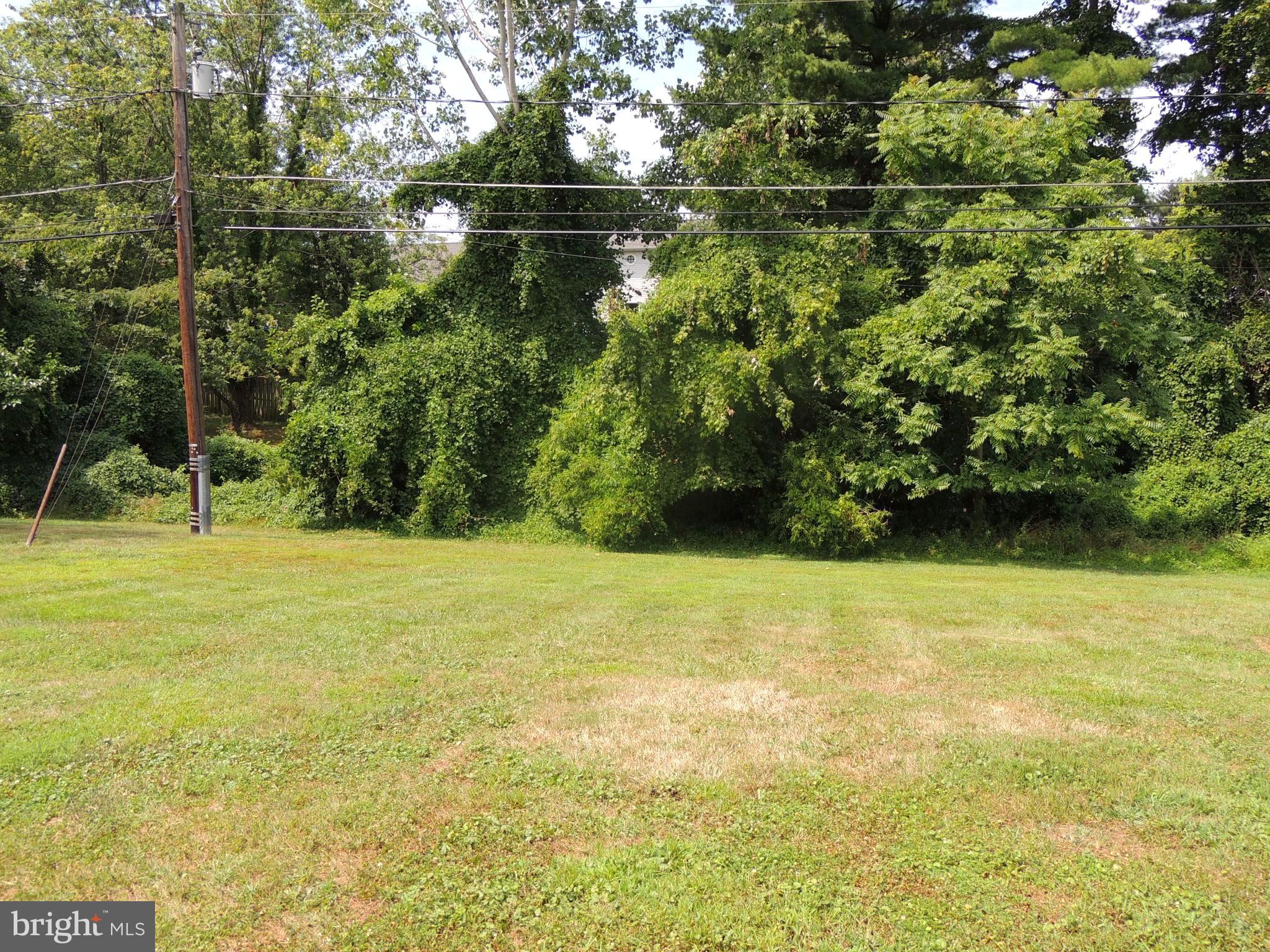 1306 Black Friars Road Baltimore, MD 21228 - Photo 5 of 13 Backyard
