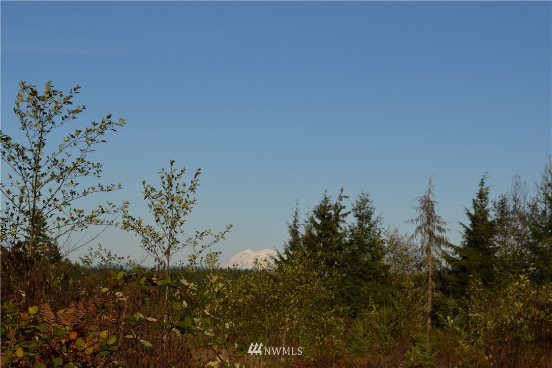 176-0 Roe Road Winlock, WA 98596 - Photo 1 of 9