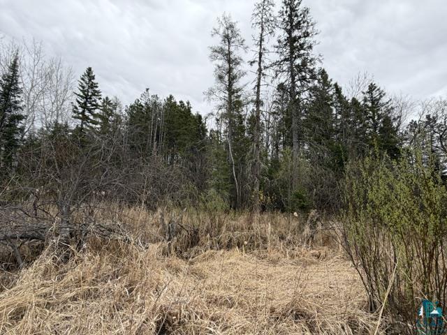 Tbd 5th Street Southeast Cook, MN 55723 - Photo 2 of 13