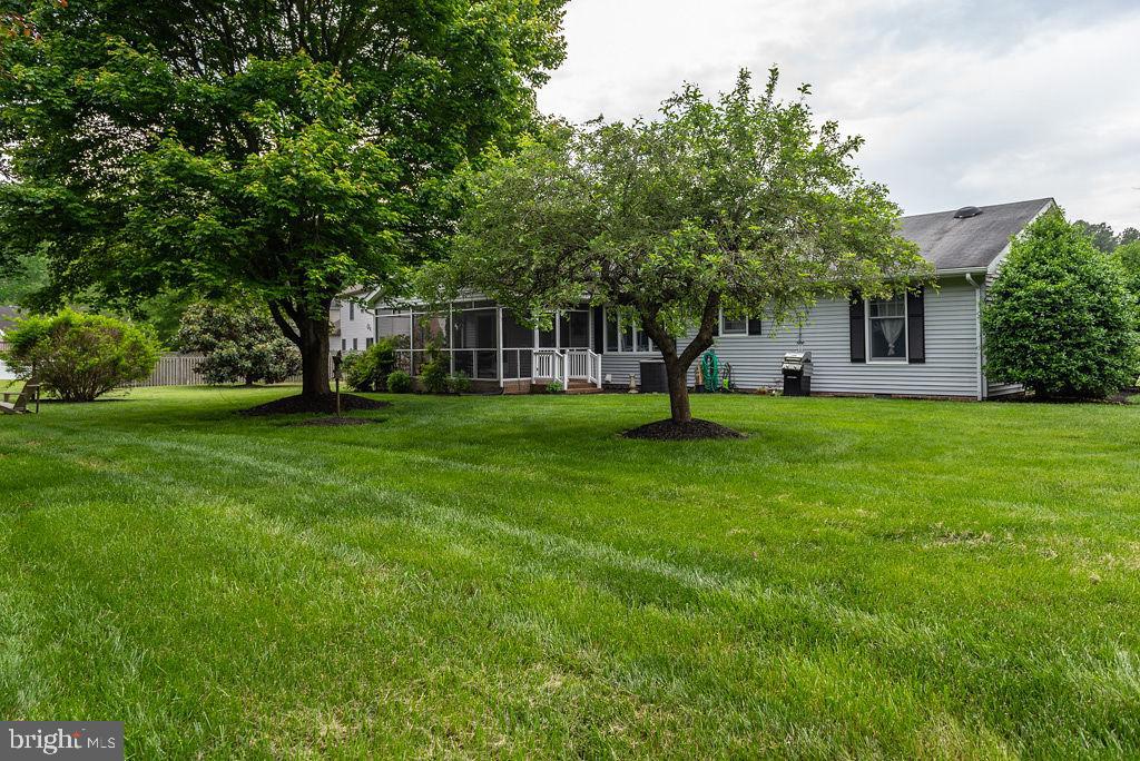 9 Mill Road Berlin, MD 21811 - Photo 22 of 23 Gallery Image 22
