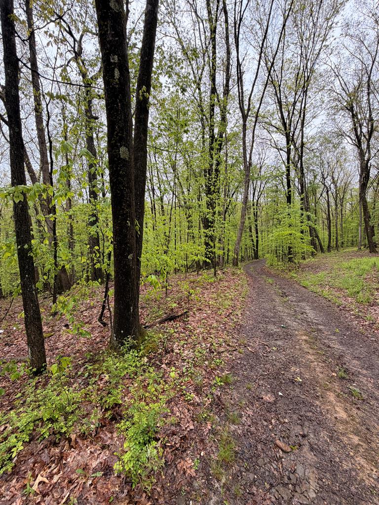 318 Upper Lease Road West Hickory, PA 16370 - Photo 1 of 5 Main View
