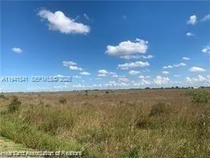 a view of a pathway with a garden