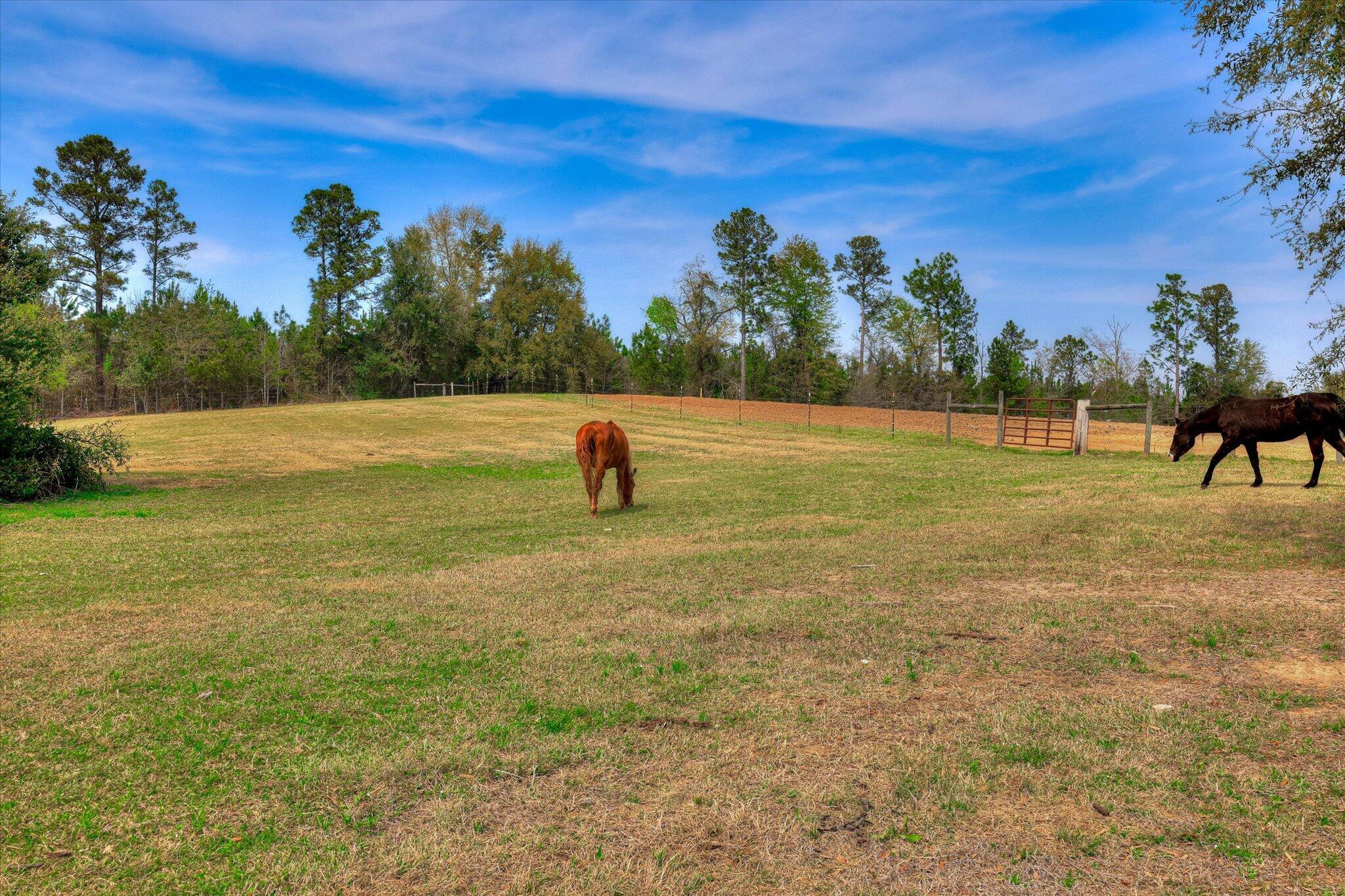 125 Peach Cider Road Batesburg, SC 29006 - Photo 17 of 82