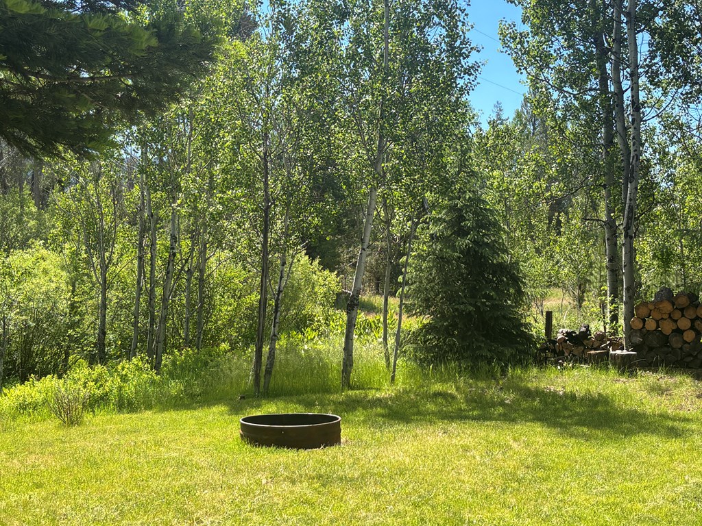 32 Shay Road Cascade, ID 83611 - Photo 9 of 40 Firepit