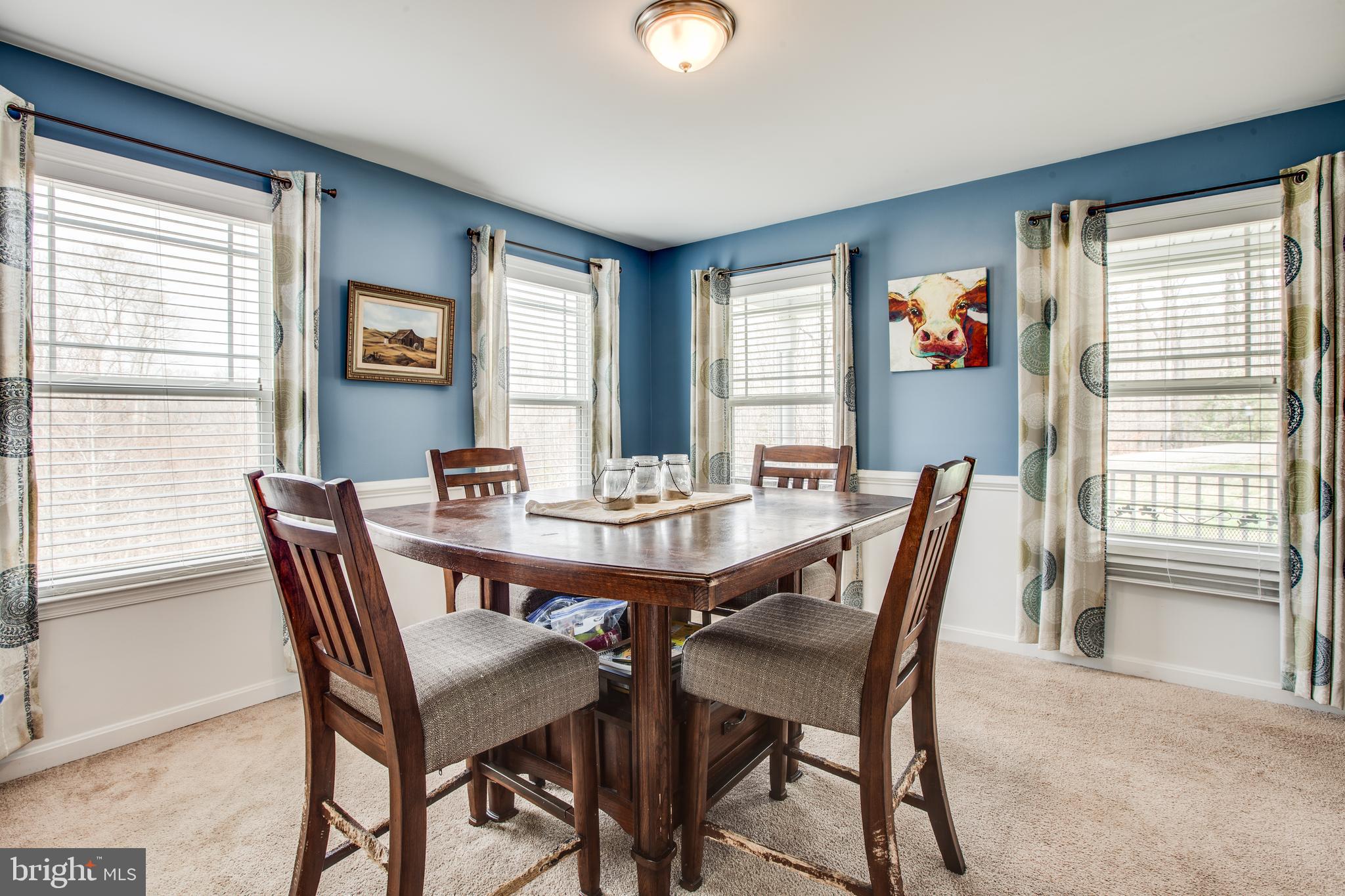 9060 Basil Road King George, VA 22485 - Photo 12 of 53 Brightly lit Dining