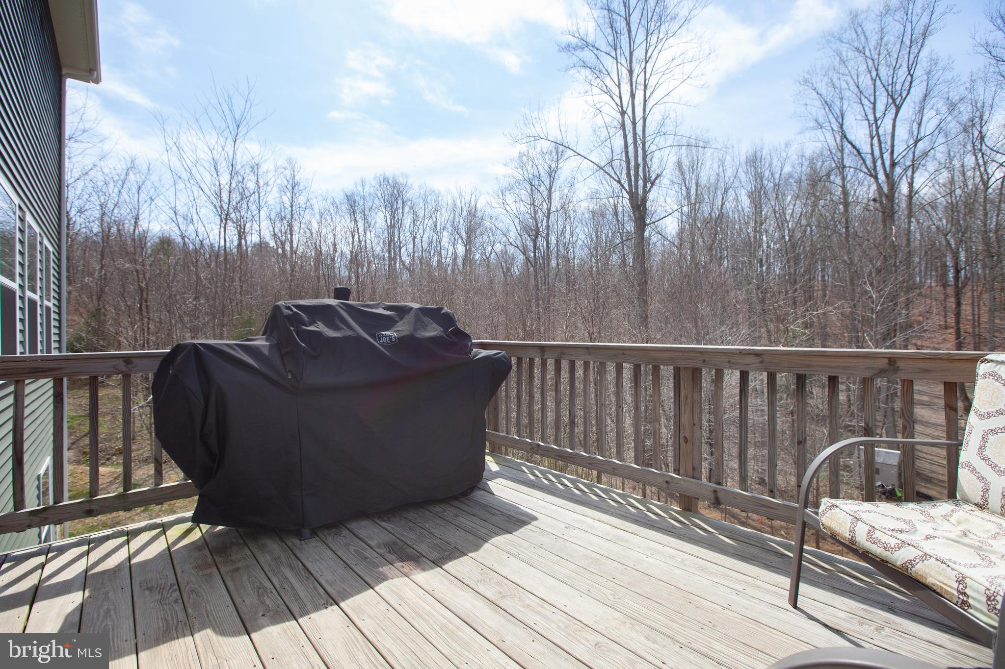 9060 Basil Road King George, VA 22485 - Photo 47 of 53 Deck views to wooded area