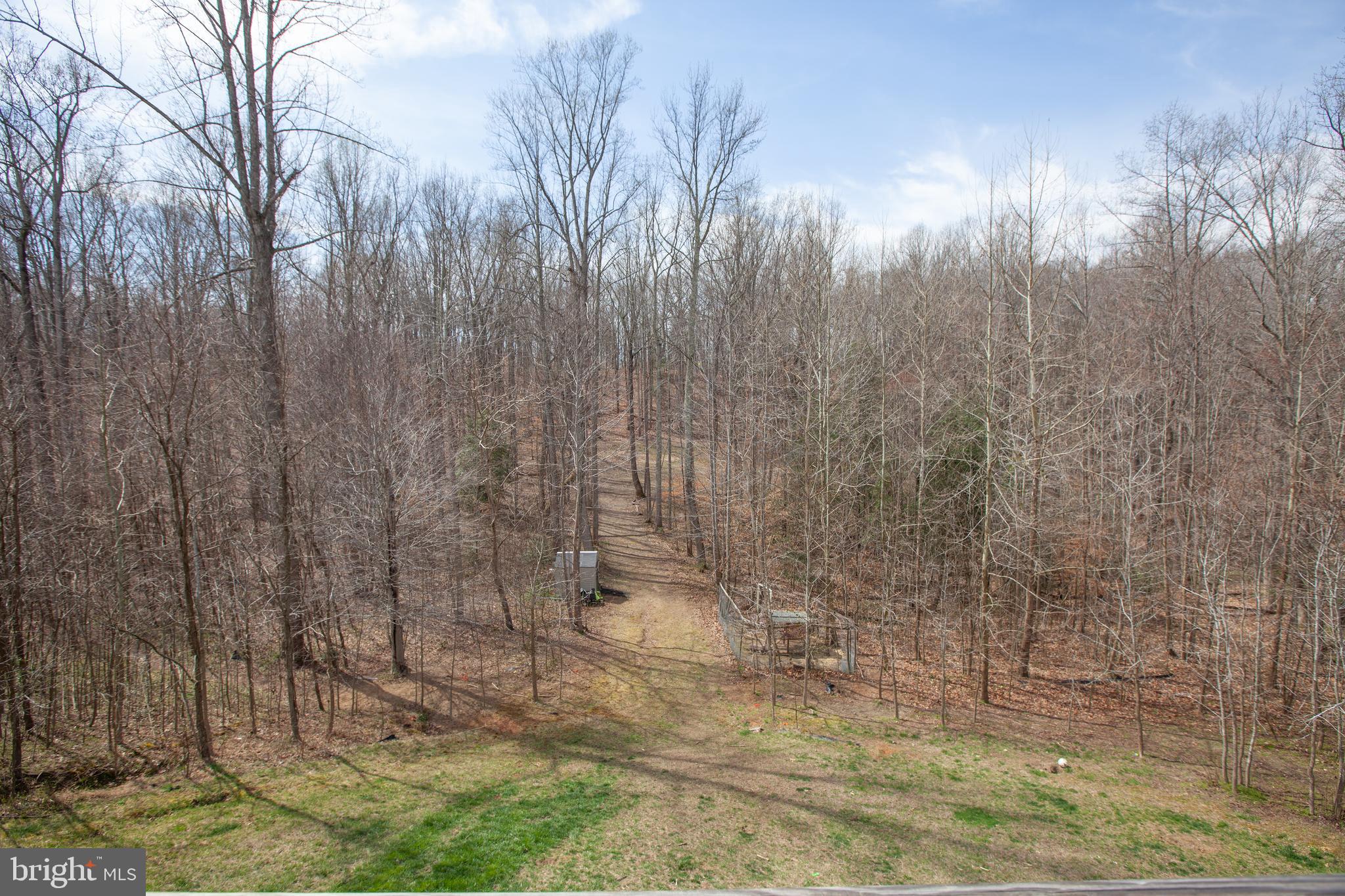 9060 Basil Road King George, VA 22485 - Photo 49 of 53 Back Acreage View