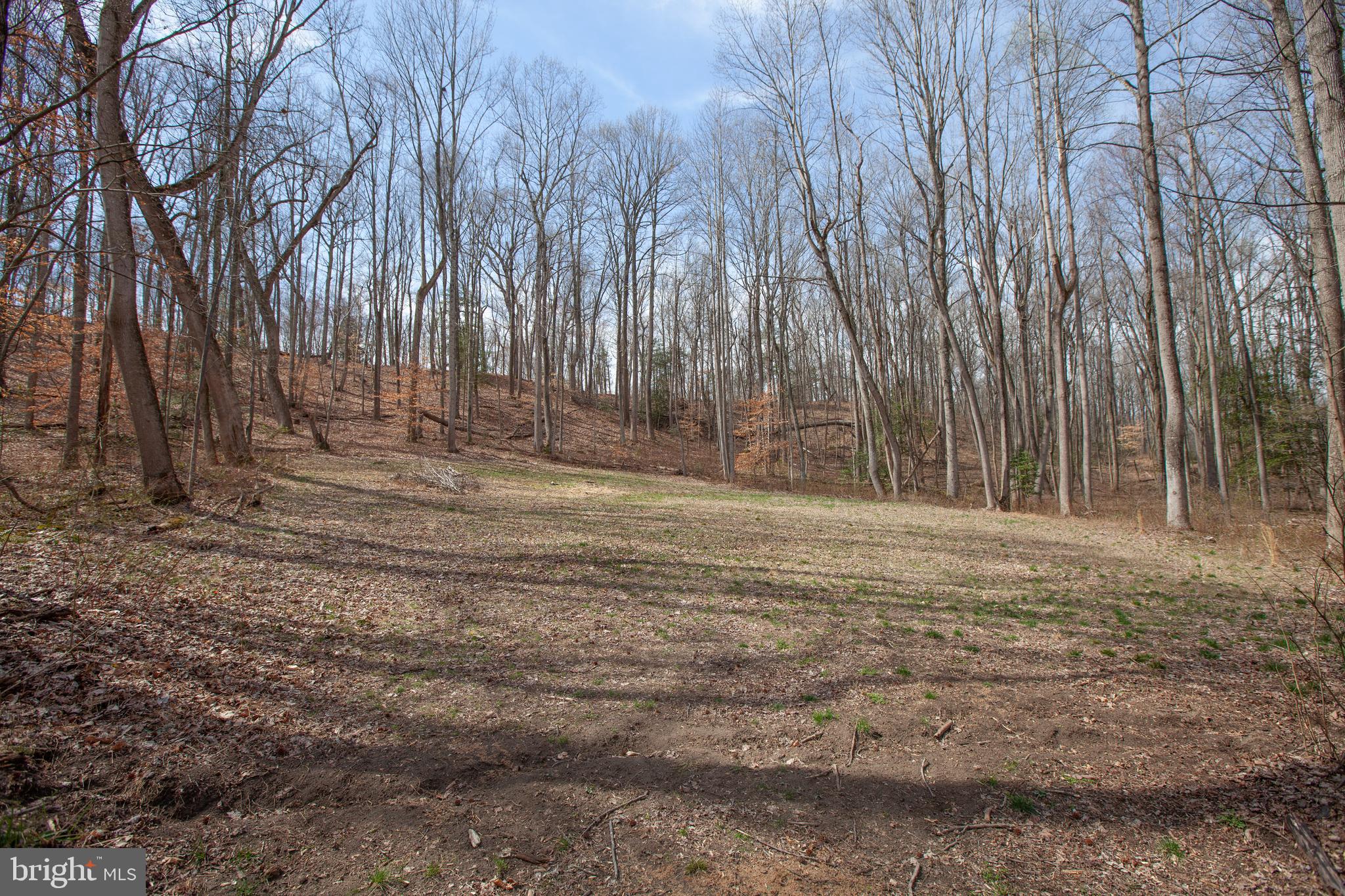 9060 Basil Road King George, VA 22485 - Photo 52 of 53 Gallery Image 52