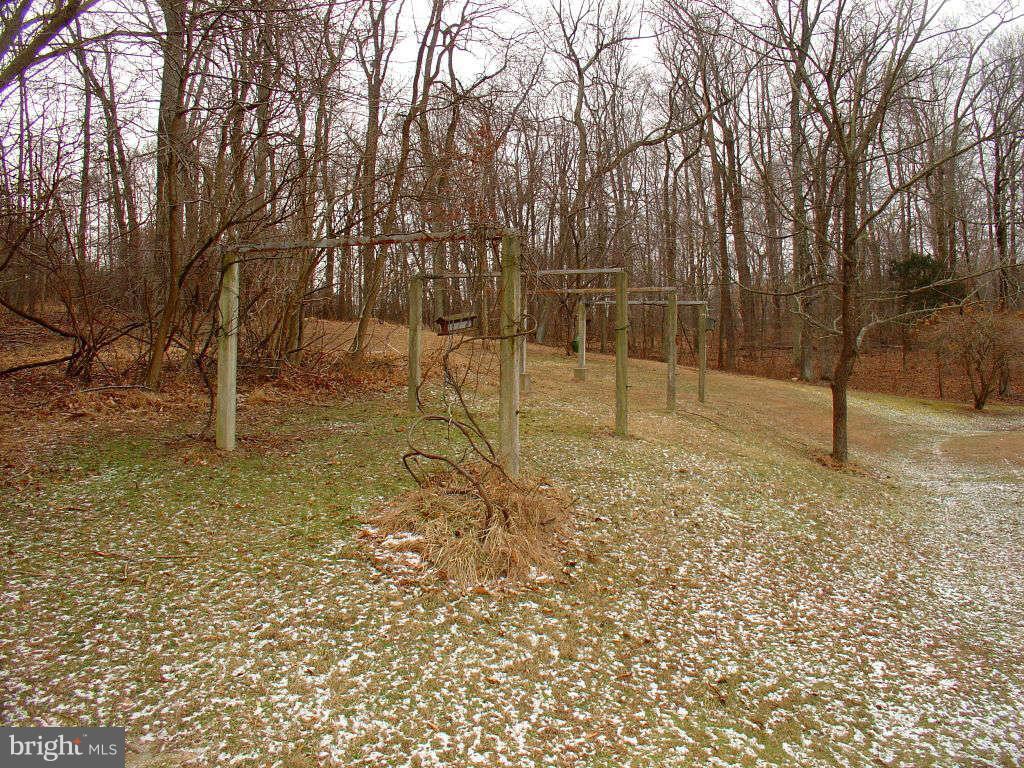 1347 Ryan Road Fallston, MD 21047 - Photo 26 of 30 Backyard