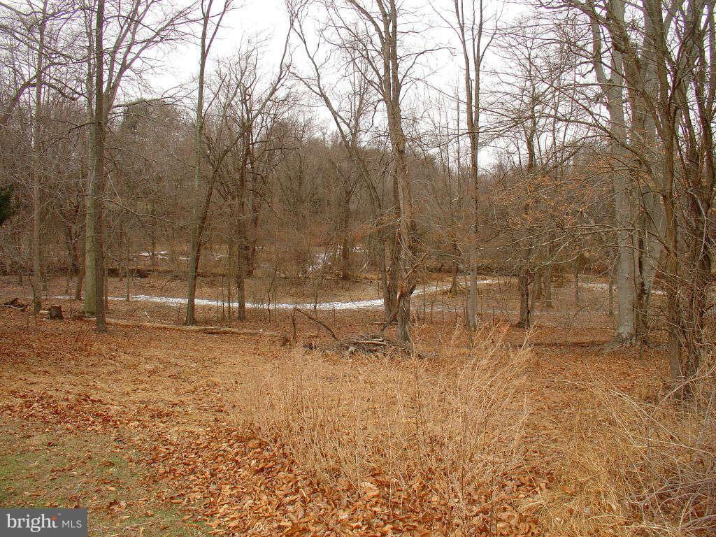 1347 Ryan Road Fallston, MD 21047 - Photo 27 of 30 Wooded Acreage